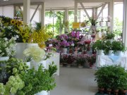 「サンエー花店」　（岩手県奥州市）の花屋店舗写真2